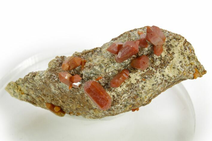 Vibrant Red-Orange Vanadinite Crystals - Western Mine, Arizona #375690